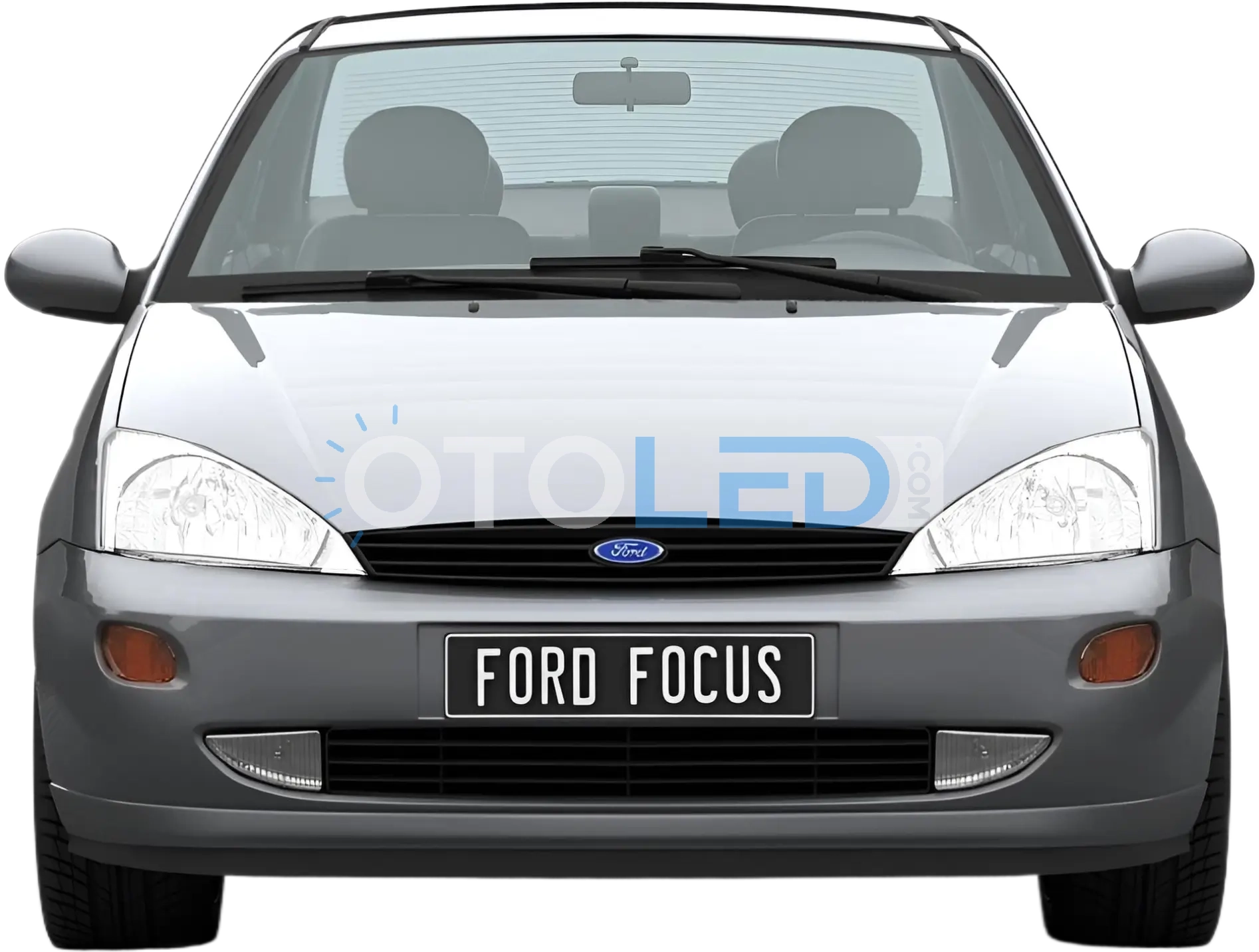 focus 1